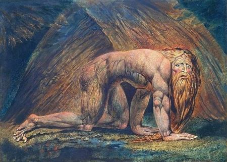 اضطراب نفسي يعتقد المصاب به أنه “بقرة”.. 